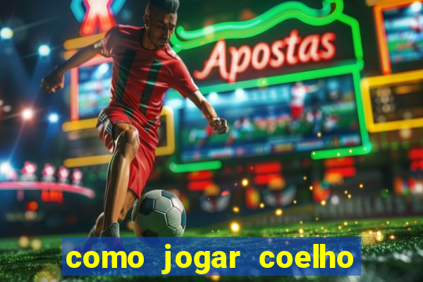 como jogar coelho da fortuna